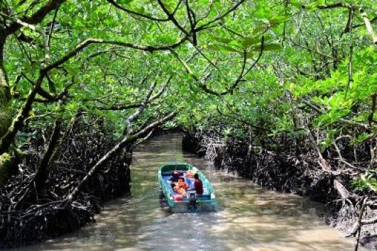 Baratang Island Limestone Caves & Mud Volcano | Andaman Diaries